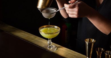 Article Best Cocktail Recipe Technique